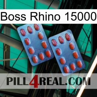 Boss Rhino 15000 05